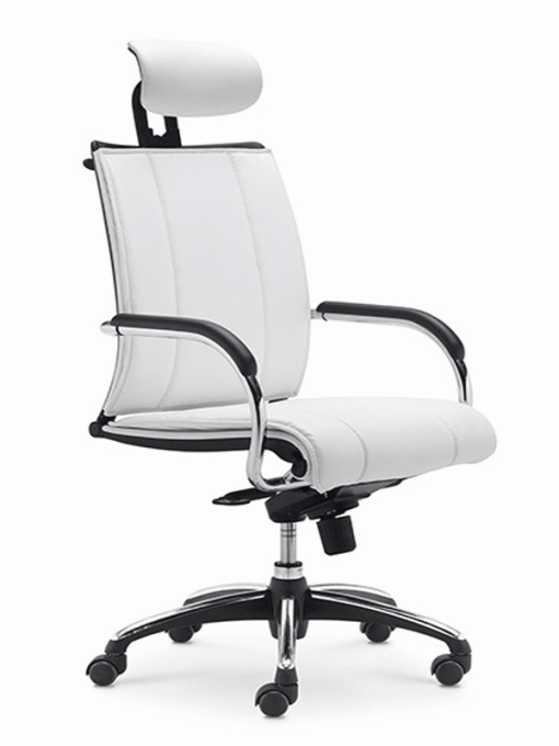 Ghế văn phòng Hilen01 DP00202